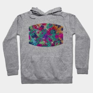 Rainbow Leopard Print Hoodie